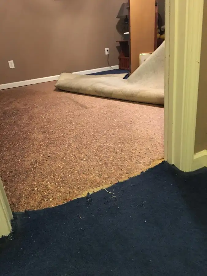 Carpet pad removal revealing water damage during Water Mitigation Services in Marlin