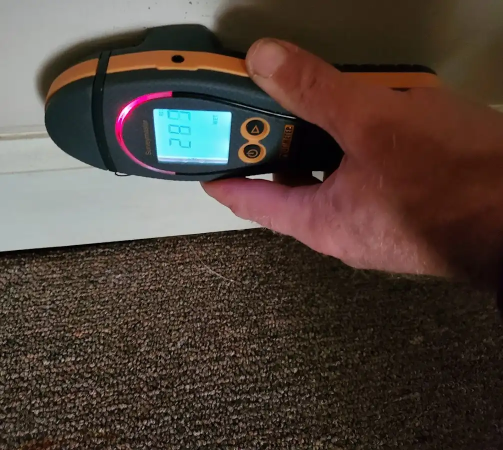 Moisture detection at baseboard during Sewage Cleanup & Sanitation in Marlin